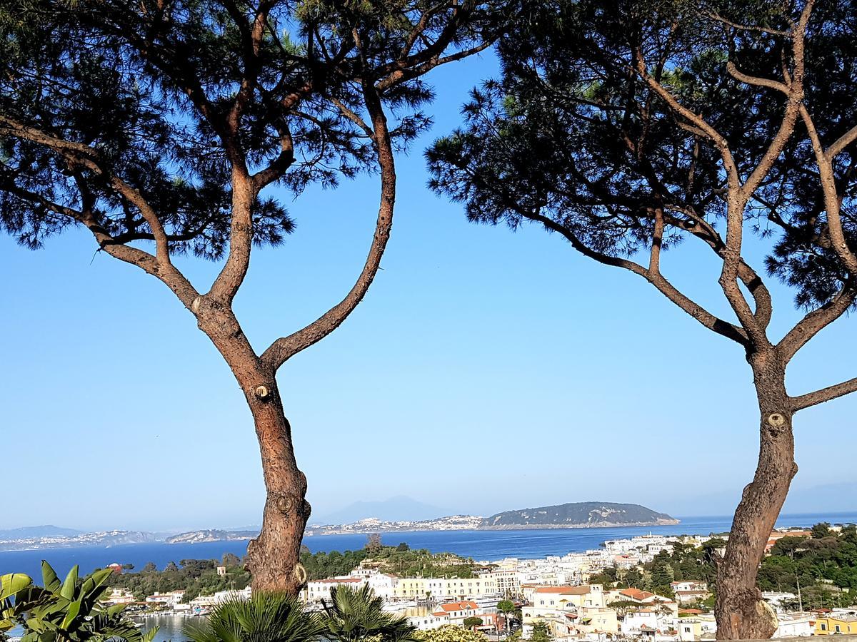 Apartmán Ischia Dream Visions Exteriér fotografie