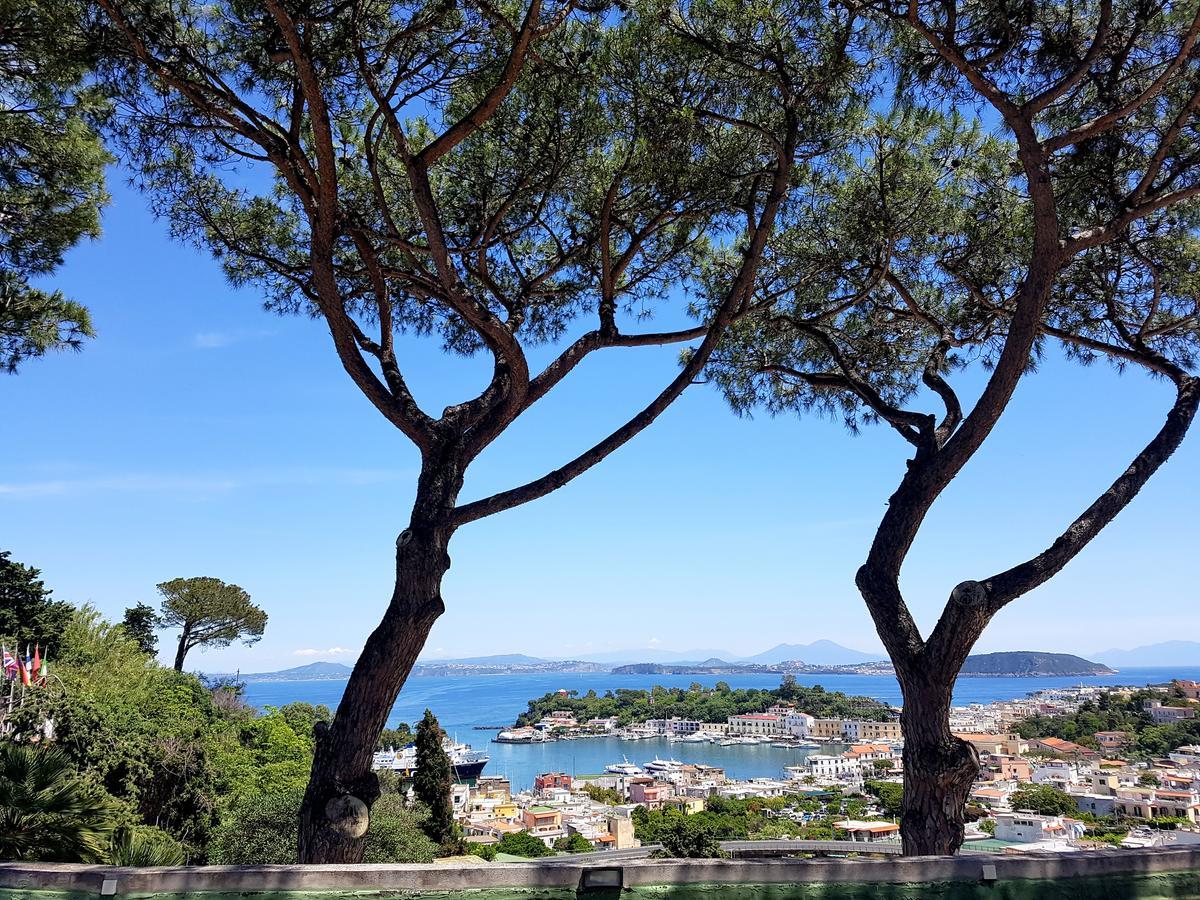Apartmán Ischia Dream Visions Exteriér fotografie